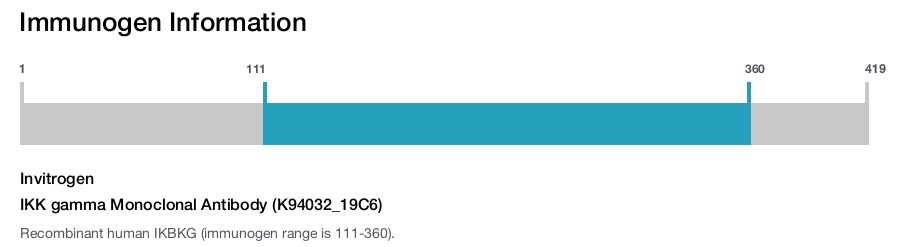 IKK gamma Monoclonal Antibody (K94032_19C6)