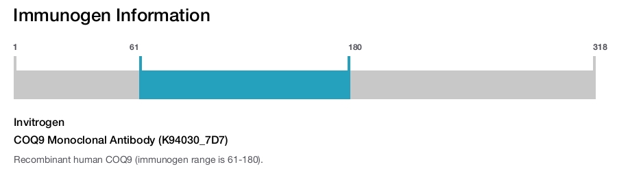 COQ9 Monoclonal Antibody (K94030_7D7)