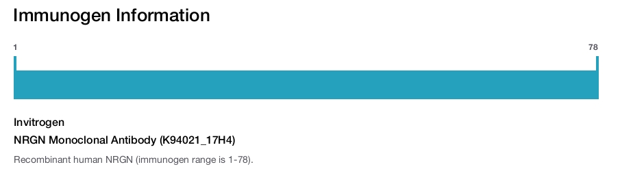 NRGN Monoclonal Antibody (K94021_17H4)