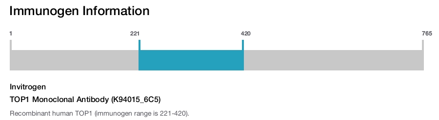 TOP1 Monoclonal Antibody (K94015_6C5)