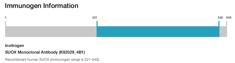 SUOX Monoclonal Antibody (K92029_4B1)