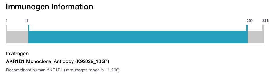 AKR1B1 Monoclonal Antibody (K92029_13G7)