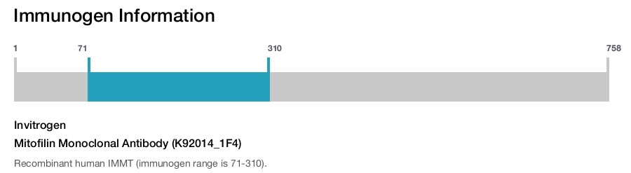 Mitofilin Monoclonal Antibody (K92014_1F4)