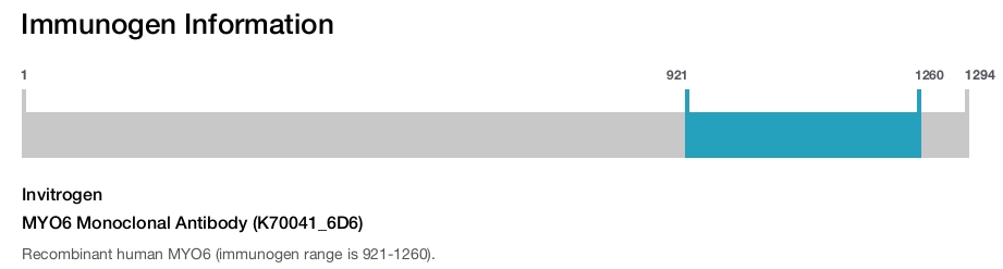 MYO6 Monoclonal Antibody (K70041_6D6)