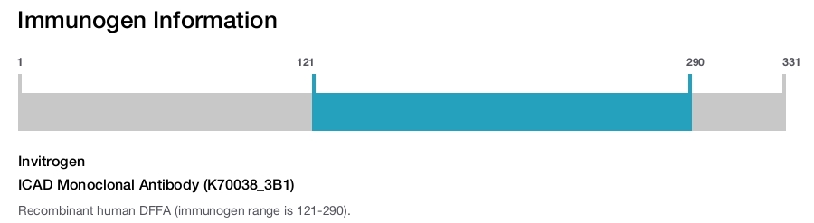 ICAD Monoclonal Antibody (K70038_3B1)