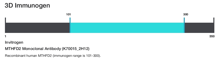 MTHFD2 Monoclonal Antibody (K70015_2H12)