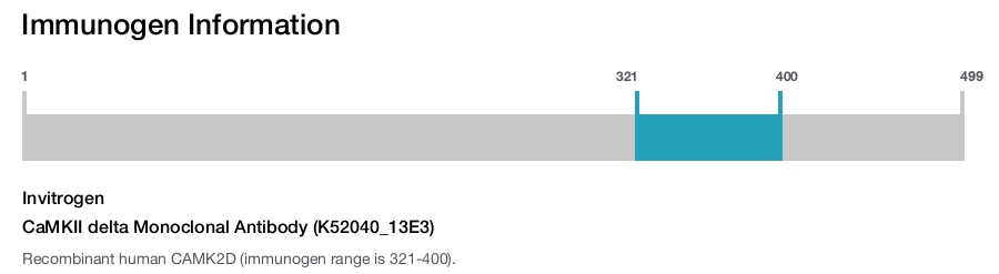 CaMKII delta Monoclonal Antibody (K52040_13E3)