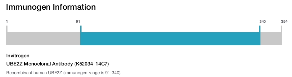 UBE2Z Monoclonal Antibody (K52034_14C7)