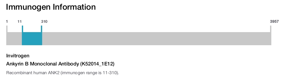 Ankyrin B Monoclonal Antibody (K52014_1E12)