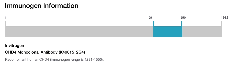 CHD4 Monoclonal Antibody (K49015_2G4)