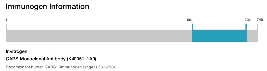 CARS Monoclonal Antibody (K40051_1A9)