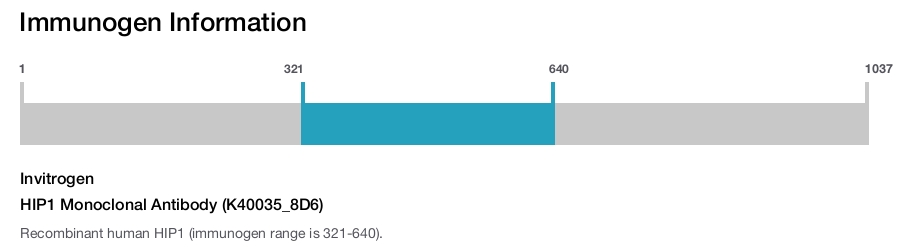 HIP1 Monoclonal Antibody (K40035_8D6)