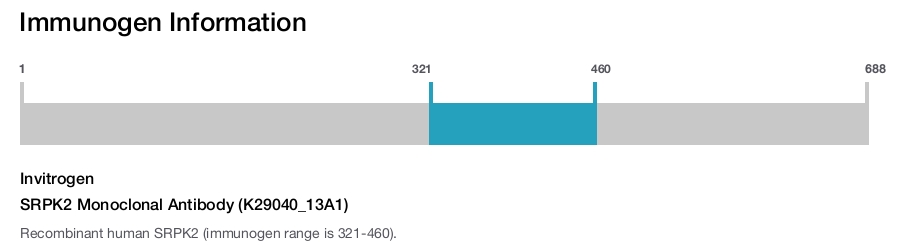 SRPK2 Monoclonal Antibody (K29040_13A1)