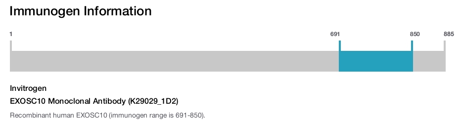 EXOSC10 Monoclonal Antibody (K29029_1D2)