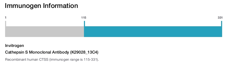 Cathepsin S Monoclonal Antibody (K29028_13C4)