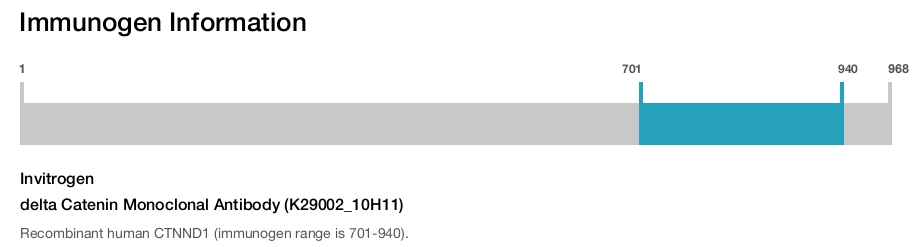 delta Catenin Monoclonal Antibody (K29002_10H11)