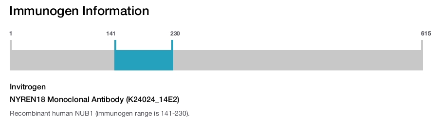 NYREN18 Monoclonal Antibody (K24024_14E2)