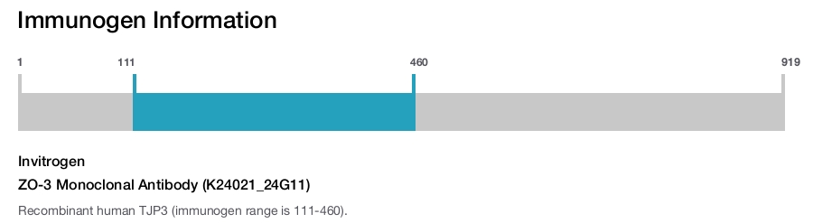 ZO-3 Monoclonal Antibody (K24021_24G11)