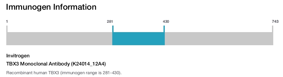 TBX3 Monoclonal Antibody (K24014_12A4)