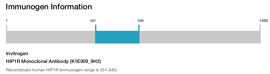 HIP1R Monoclonal Antibody (K1E009_9H2)