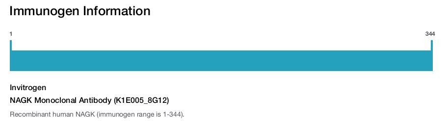 NAGK Monoclonal Antibody (K1E005_8G12)