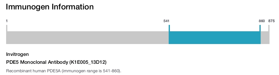 PDE5 Monoclonal Antibody (K1E005_13D12)