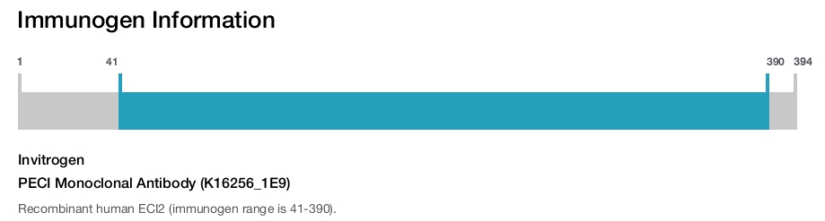 PECI Monoclonal Antibody (K16256_1E9)