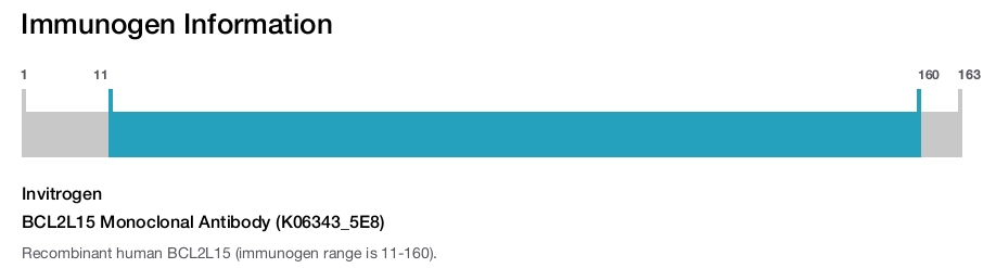 BCL2L15 Monoclonal Antibody (K06343_5E8)