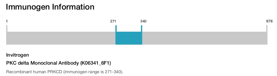 PKC delta Monoclonal Antibody (K06341_6F1)