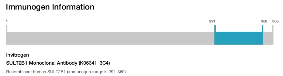 SULT2B1 Monoclonal Antibody (K06341_3C4)