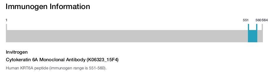 Cytokeratin 6A Monoclonal Antibody (K06323_15F4)