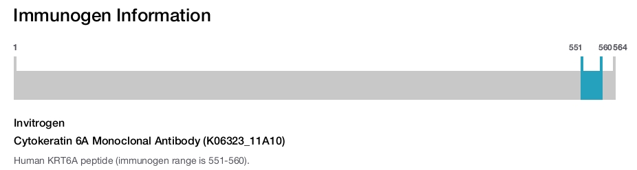Cytokeratin 6A Monoclonal Antibody (K06323_11A10)