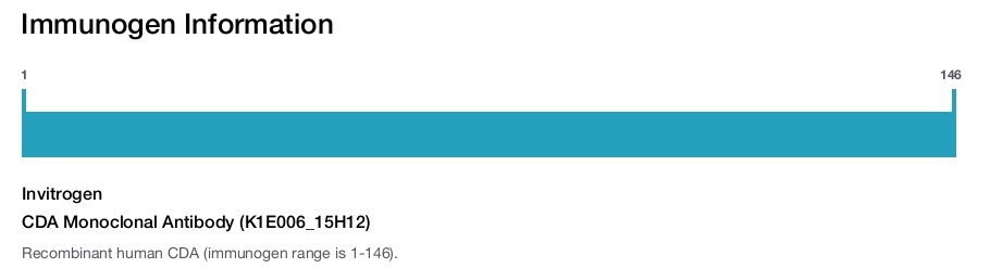 CDA Monoclonal Antibody (K1E006_15H12)
