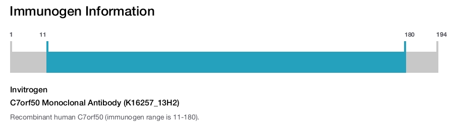 C7orf50 Monoclonal Antibody (K16257_13H2)