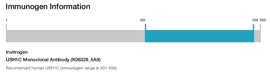 USH1C Monoclonal Antibody (K06328_5A8)