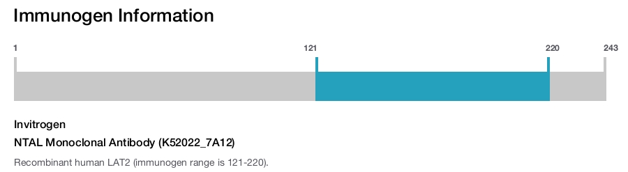 NTAL Monoclonal Antibody (K52022_7A12)