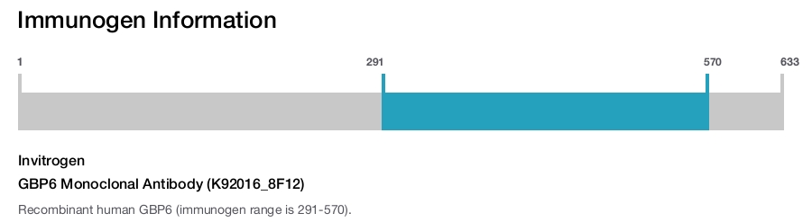 GBP6 Monoclonal Antibody (K92016_8F12)