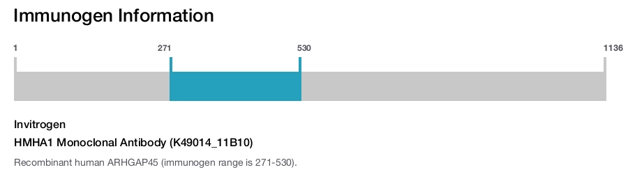 HMHA1 Monoclonal Antibody (K49014_11B10)
