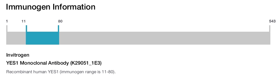 YES1 Monoclonal Antibody (K29051_1E3)