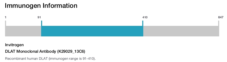 DLAT Monoclonal Antibody (K29029_13C6)