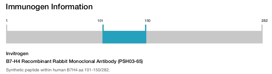 B7-H4 Recombinant Rabbit Monoclonal Antibody (PSH03-65)
