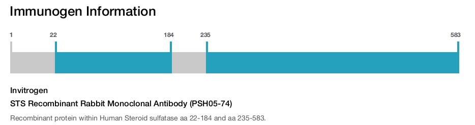 STS Recombinant Rabbit Monoclonal Antibody (PSH05-74)