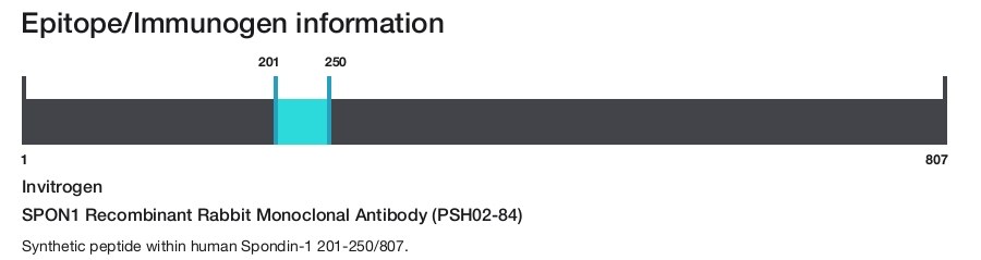 SPON1 Recombinant Rabbit Monoclonal Antibody (PSH02-84)