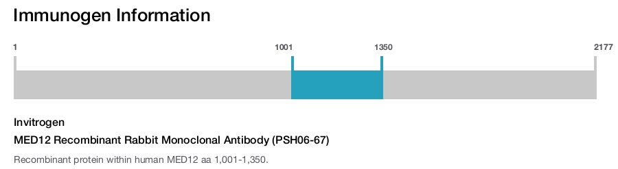 MED12 Recombinant Rabbit Monoclonal Antibody (PSH06-67)