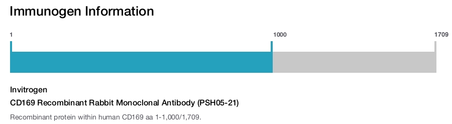 CD169 Recombinant Rabbit Monoclonal Antibody (PSH05-21)