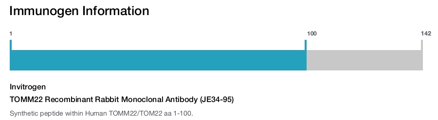 TOMM22 Recombinant Rabbit Monoclonal Antibody (JE34-95)