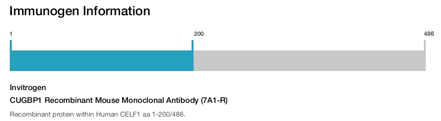 CUGBP1 Recombinant Mouse Monoclonal Antibody (7A1-R)