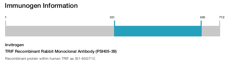 TRIF Recombinant Rabbit Monoclonal Antibody (PSH05-39)