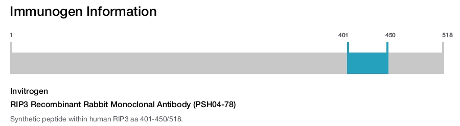 RIP3 Recombinant Rabbit Monoclonal Antibody (PSH04-78)