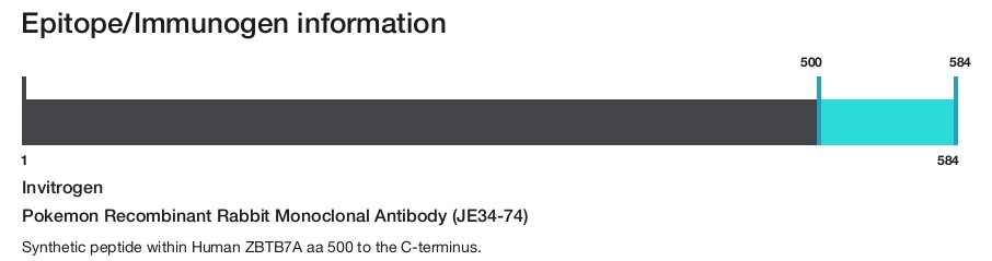 Pokemon Recombinant Rabbit Monoclonal Antibody (JE34-74)